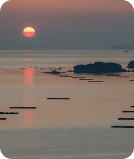 頭島