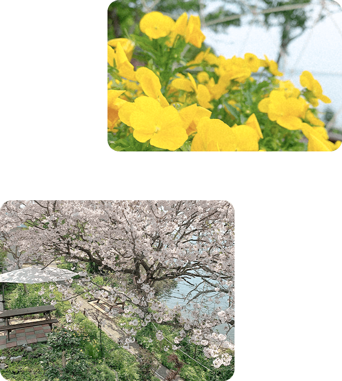 ペンションおやじの海